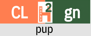 Hanky Code Pair Arrow for pup / CORAL 2 green