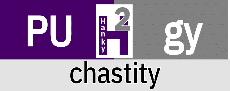 Hanky Code Pair Arrow for chastity / PURPLE 2 gray