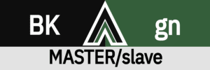 Hanky Code Pair Arrow for MASTER/slave fetish / BLACK 2 green