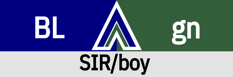 Hanky Code Pair Arrow for SIR/boy fetish / BLUE 2 green