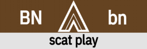 Hanky Code Pair Arrow for scat play fetish / BROWN