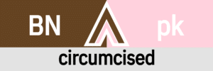 Hanky Code Pair Arrow for circumcised fetish / BROWN 2 pink