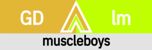 Hanky Code Pair Arrow for muscleboys fetish / GOLD 2 lime