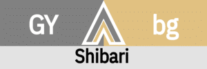 Hanky Code Pair Arrow for Shibari fetish / GRAY 2 beige