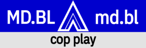 Hanky Code Pair Arrow for cop play fetish / medium.BLUE